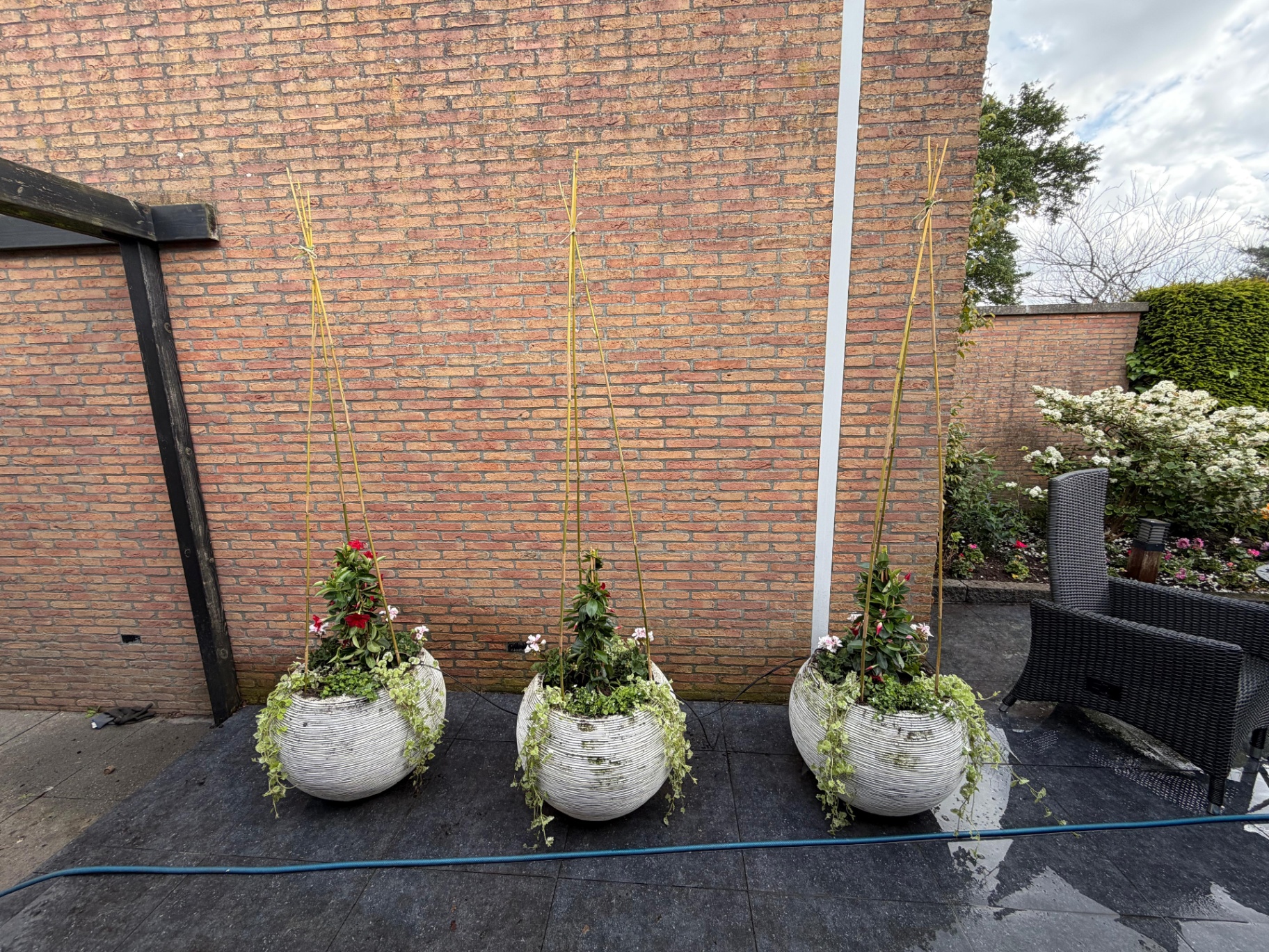 Zakelijke tuinservice